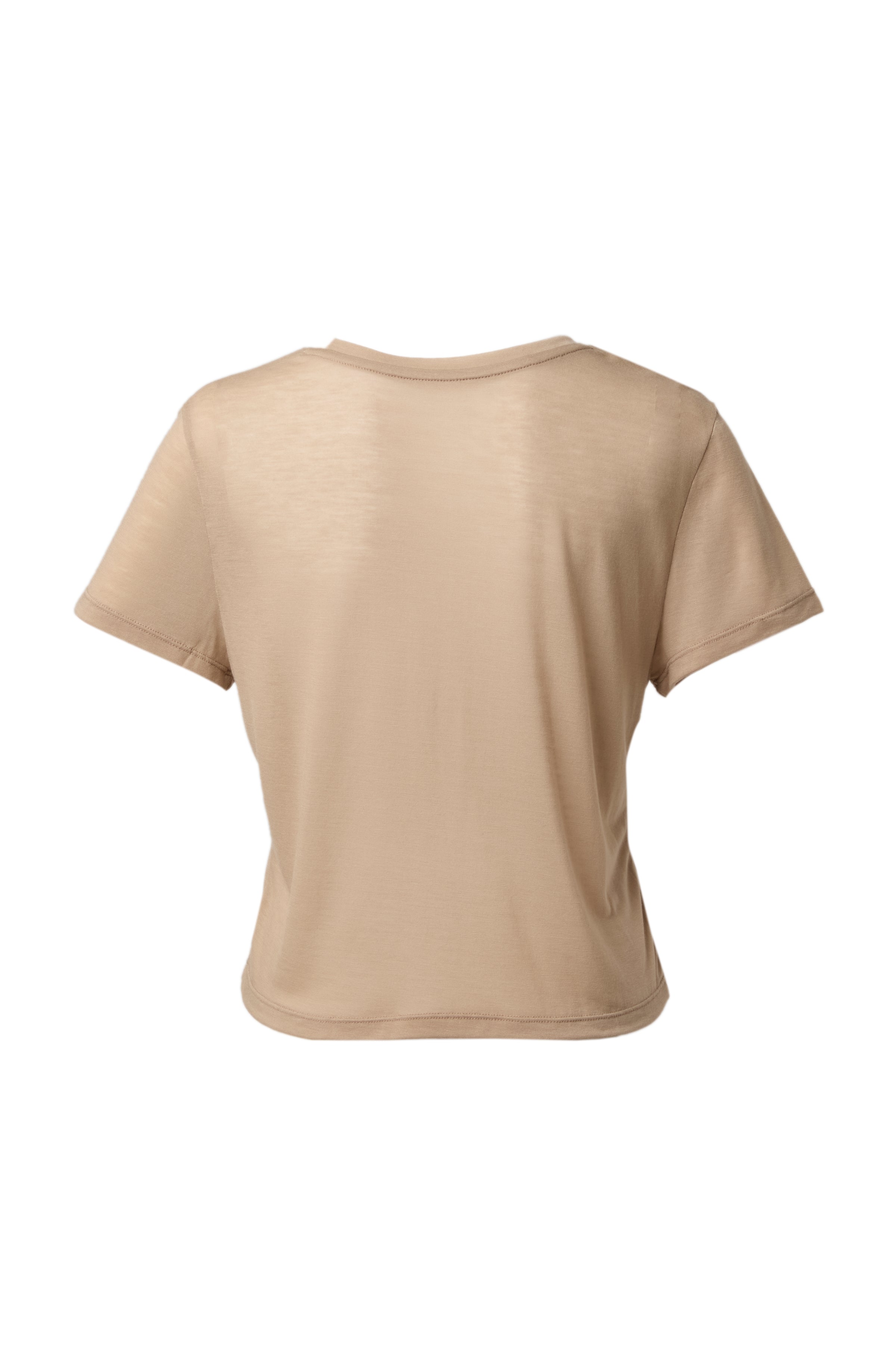 TW Sheer T-shirt