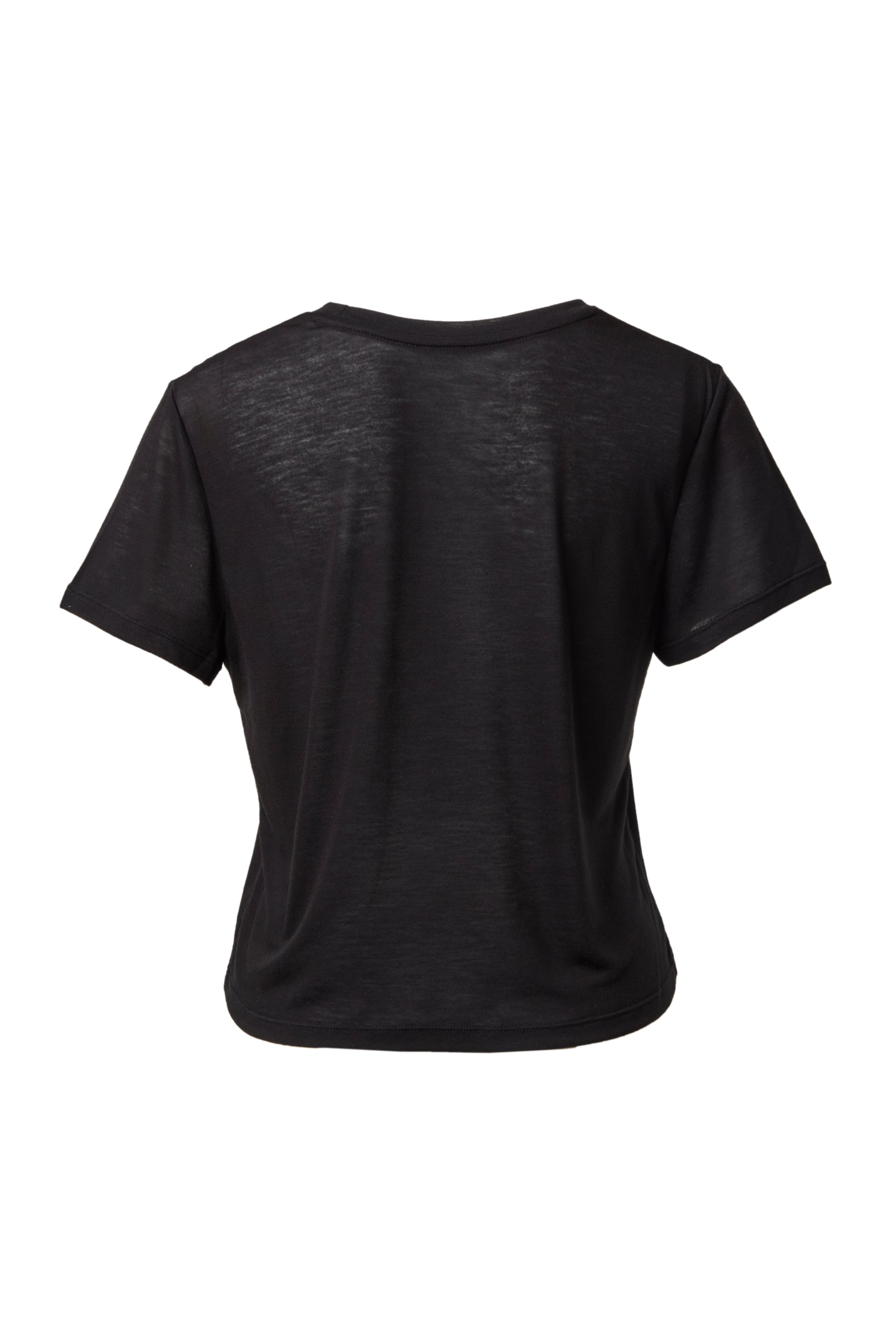 TW Sheer T-shirt